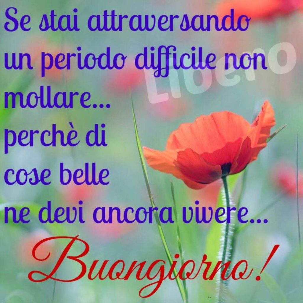 Se stai attraversando un periodo difficile non mollare... perché di cose belle ne devi ancora vivere...Buongiorno!