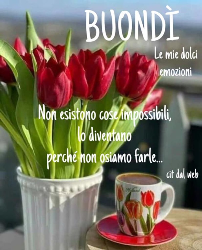 Buondì non esistono cose impossibili, lo diventano perché non osiamo farle