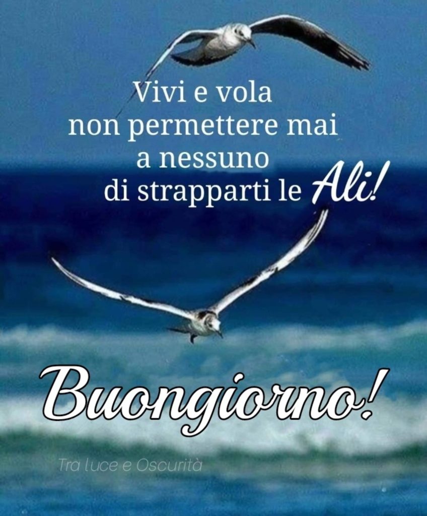 Vivi e vola non permettere mai a nessuno di strapparti le Ali! Buongiorno!
