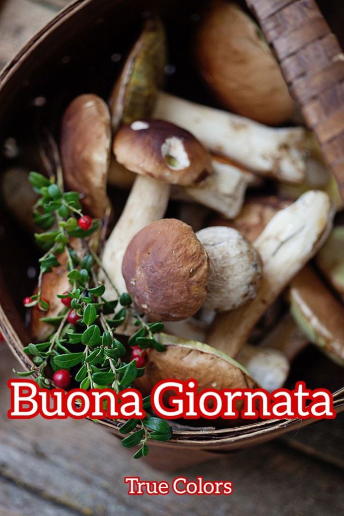 Buona Giornata