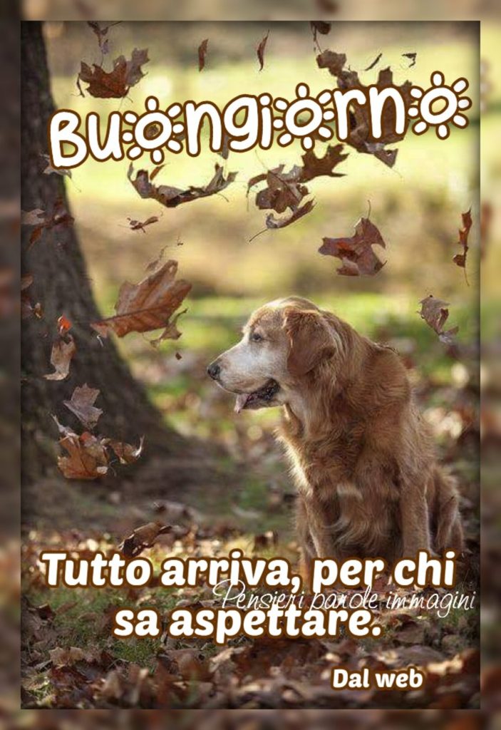 Buongiorno Tutto arriva per chi sa aspettare 