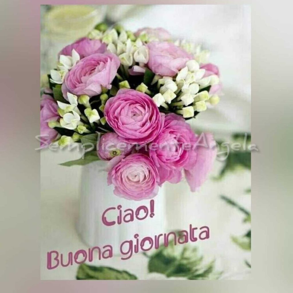 Ciao! Buona Giornata