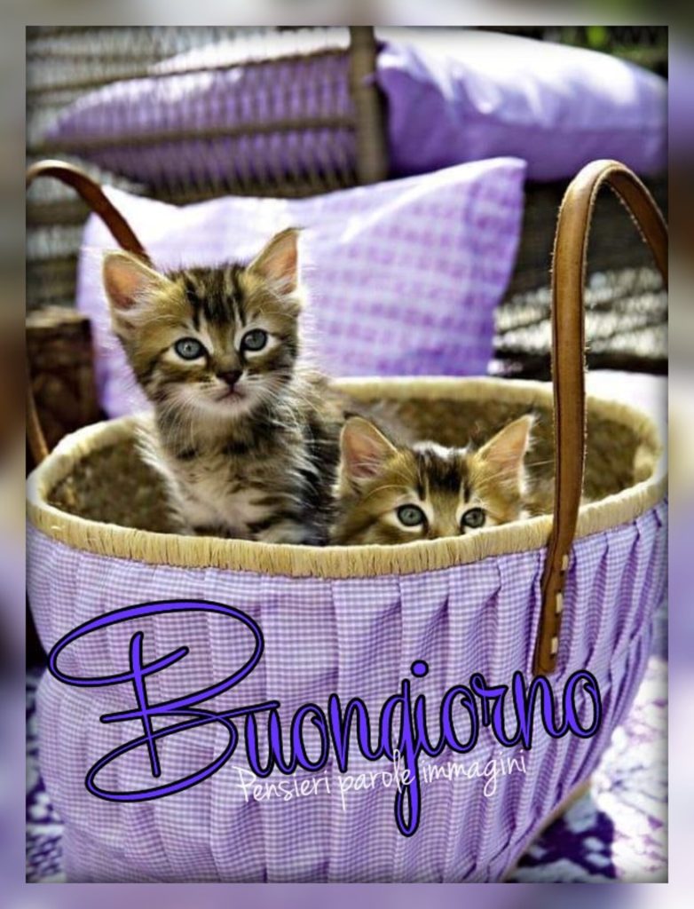 Buongiorno