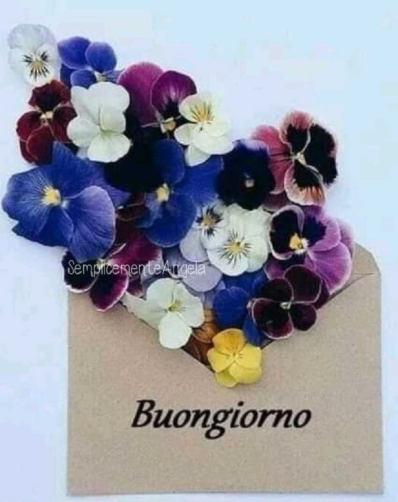 Buongiorno