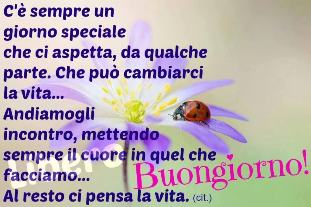 C'è sempre un giorno speciale che ci aspetta, da qualche parte. Che può cambiarci la vita... andiamogli incontro, mettendo sempre il cuore in quel che facciamo... al resto ci pensa la vita... Buongiorno!