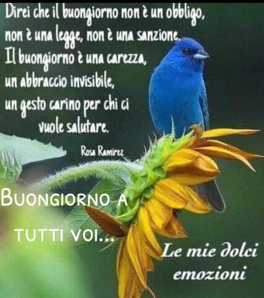 Direi che il buongiorno non è un obbligo, non è una legge, non è una sanzione...... Buongiorno tutti voi