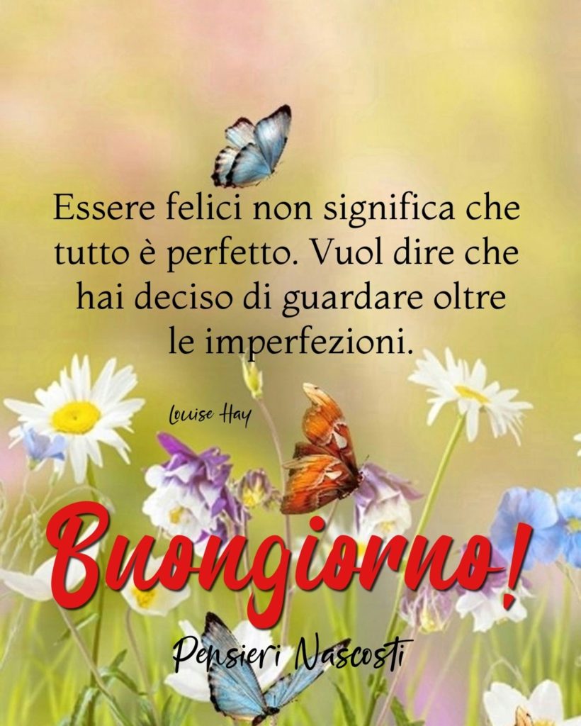 Essere felici non significa che tutto è perfetto. Vuol dire che hai deciso di guardare oltre le imperfezioni. Buongiorno!
