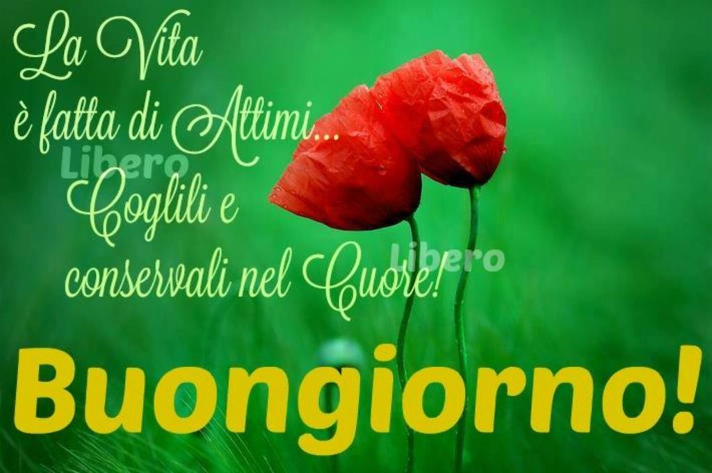 La vita è fatta di attimi... coglili e condservali nel cuore! Buongiorno!