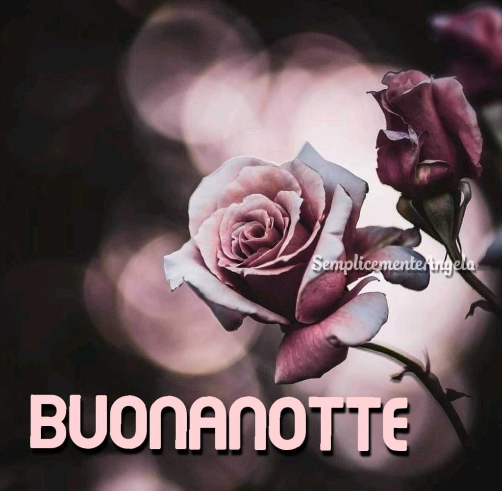 Buonanotte