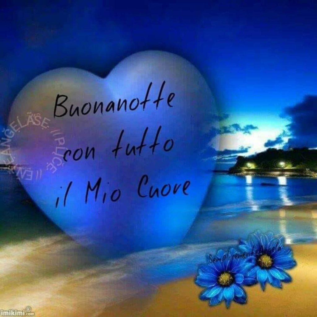 Buonanotte con tutto il mio Cuore