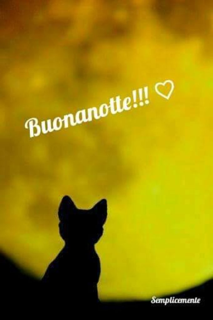 Buonanotte!!!