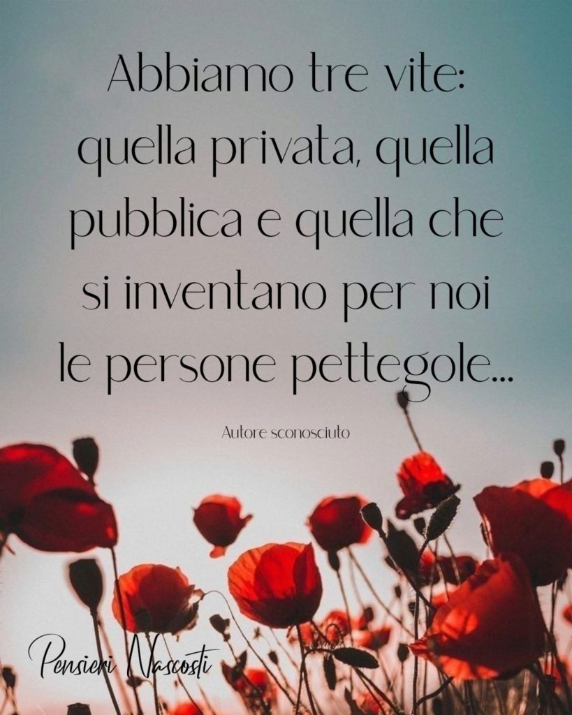 Abbiamo tre vite: quella privata, quella pubblica e quella che si inventano per noi le persone pettegole