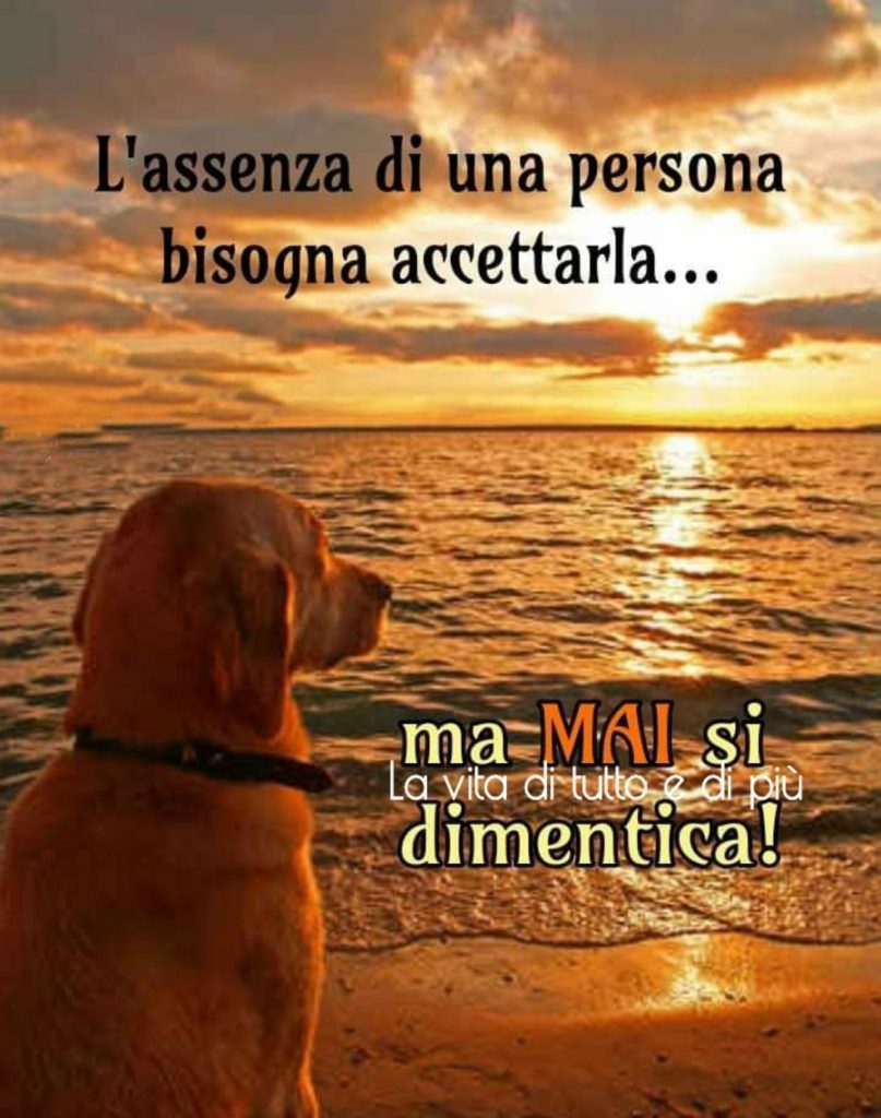 L'assenza di una bisogna bisogna accettarla... Ma MAI si dimentica!