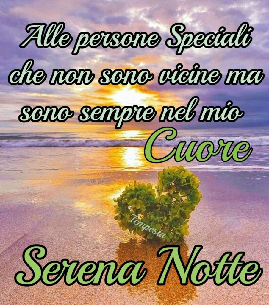 Alle persone Speciali che non sono vicine ma sono sempre nel mio cuore Serena Notte