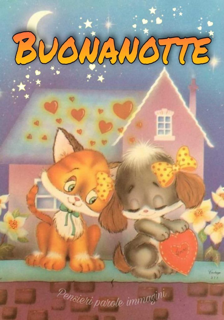 Buonanotte
