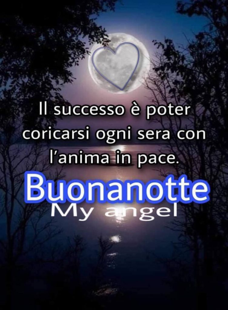 Il successo è poter coricarsi ogni sera con l'anima in pace Buonanotte