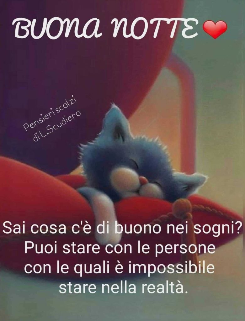 Buona Notte Sai cosa c'è di buono nei sogni? Puoi stare con le persone con le quali è impossibile stare nella realtà