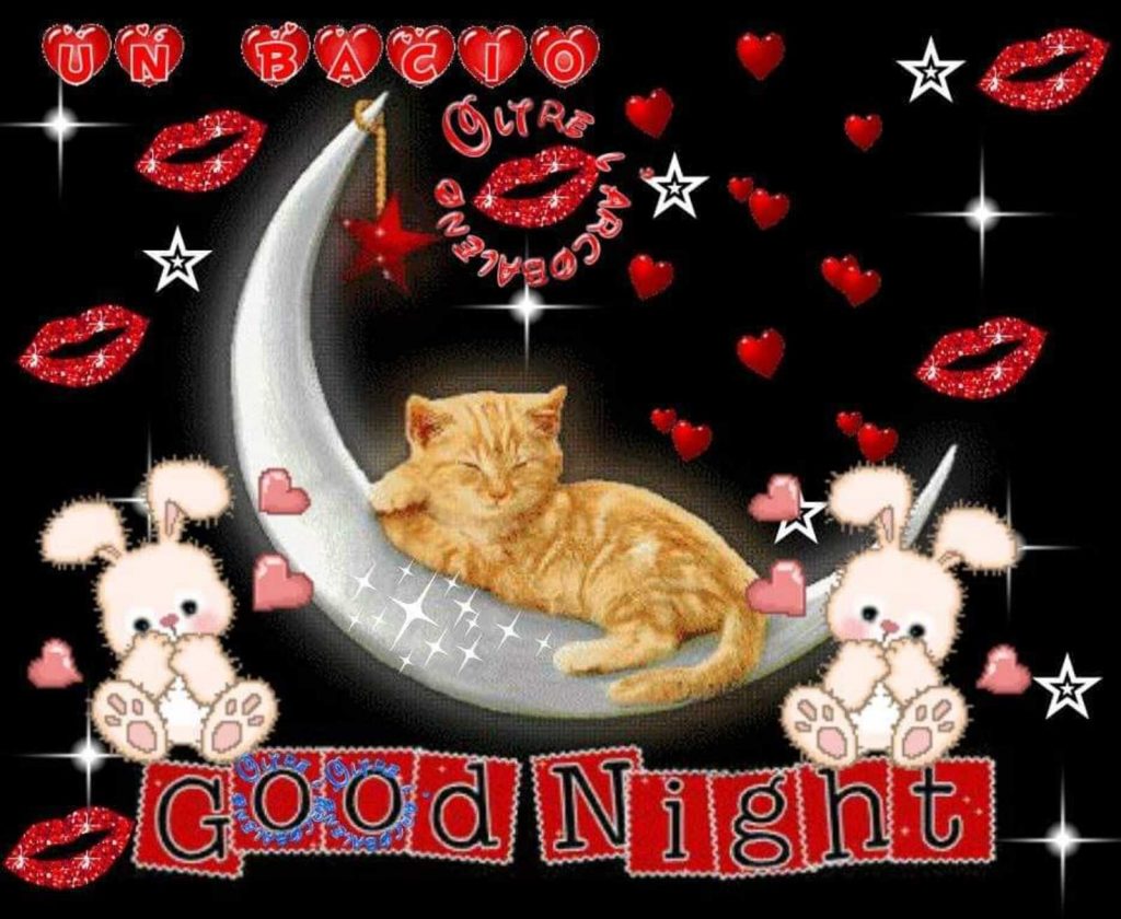 Good Night