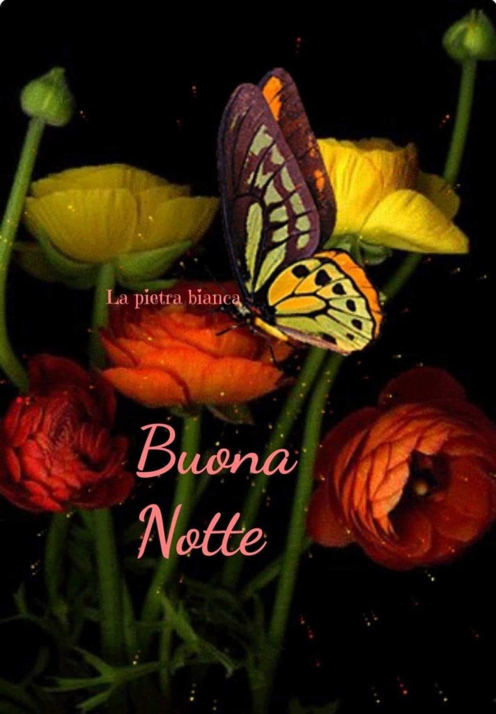 Buona Notte