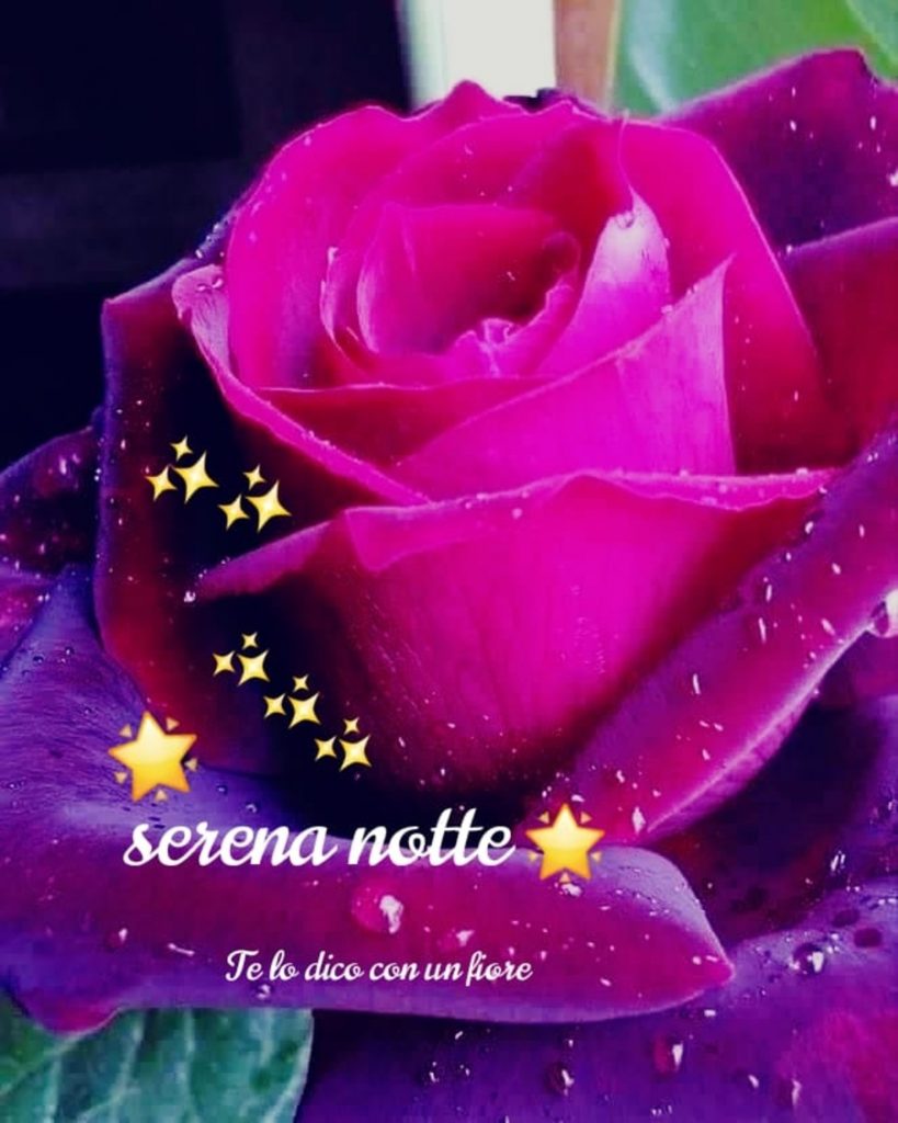 Serena Notte