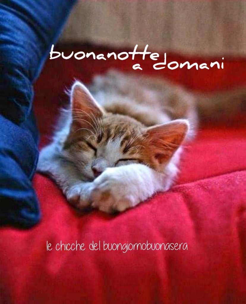 Buonanotte a domani