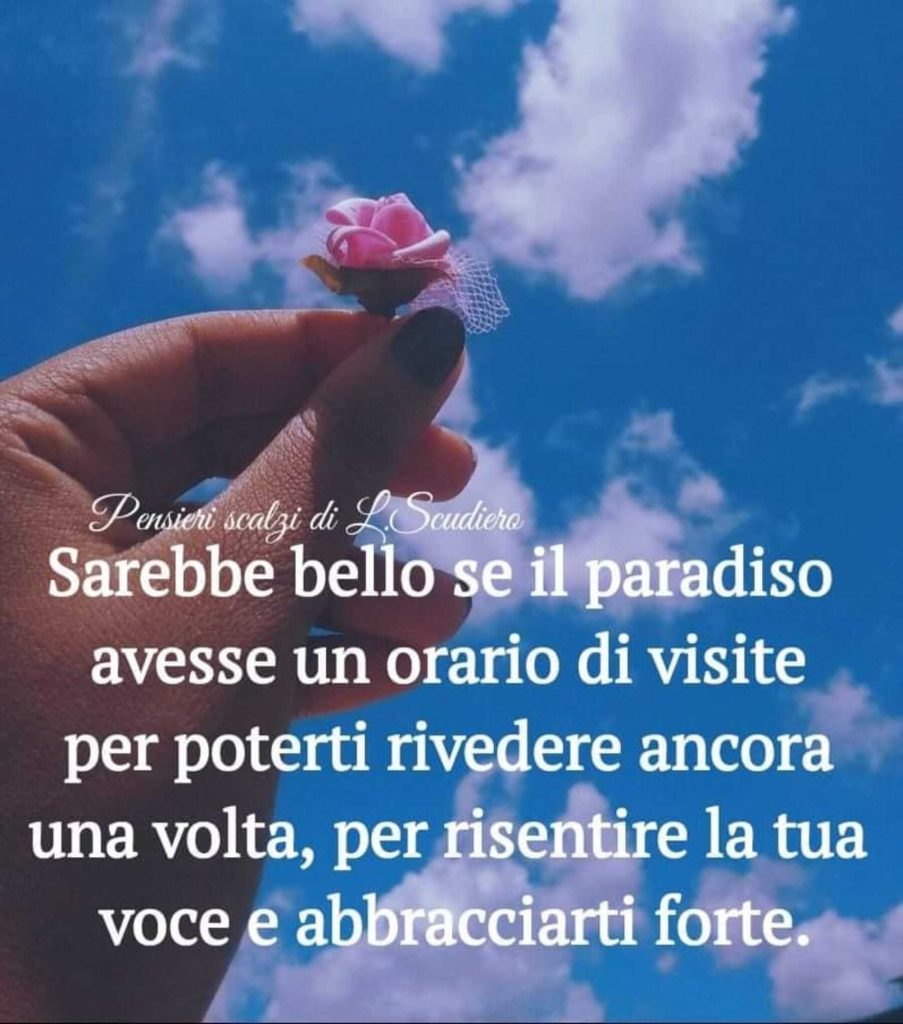 Sarebbe bello se il paradiso avesse un orario di visite per poterti rivedere ancora una volta, per risentire la tua voce e abbracciarti forte