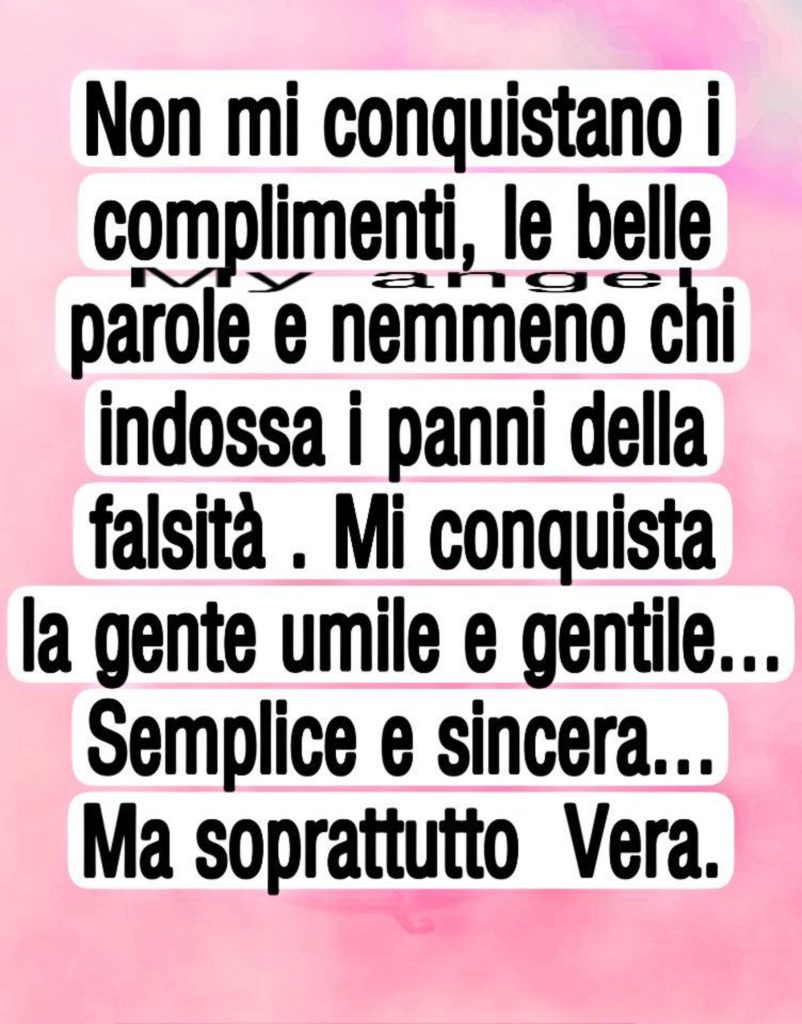 Non mi conquistano i complimenti, le belle parole e nemmeno chi indossa i panni della falsità. Mi conquista la gente umile e gentile... semplice e sincera... ma soprattutto vera