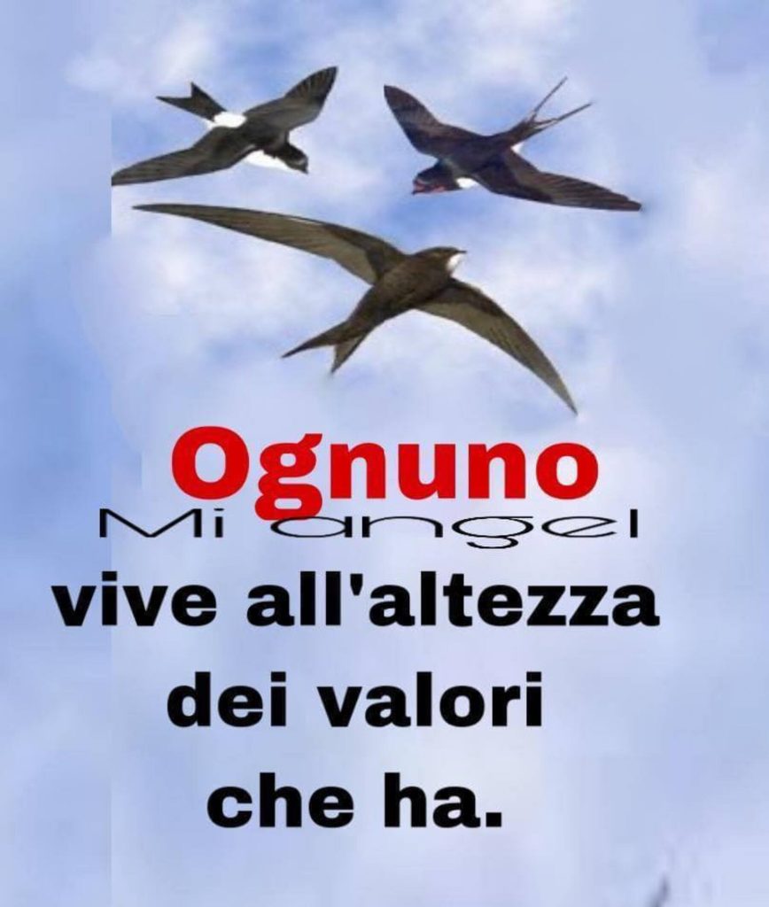 Ognuno vive all'altezza dei valori che ha