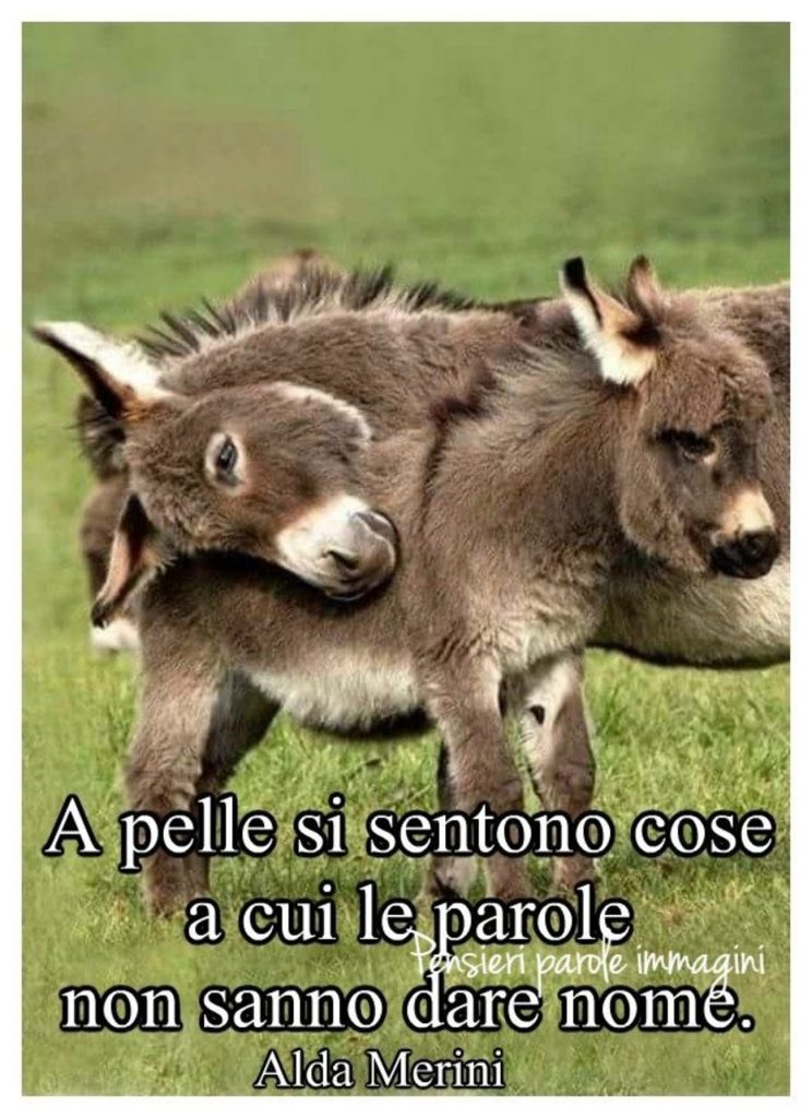 A pelle si sentono cose a cui le parole non sanno dare nome