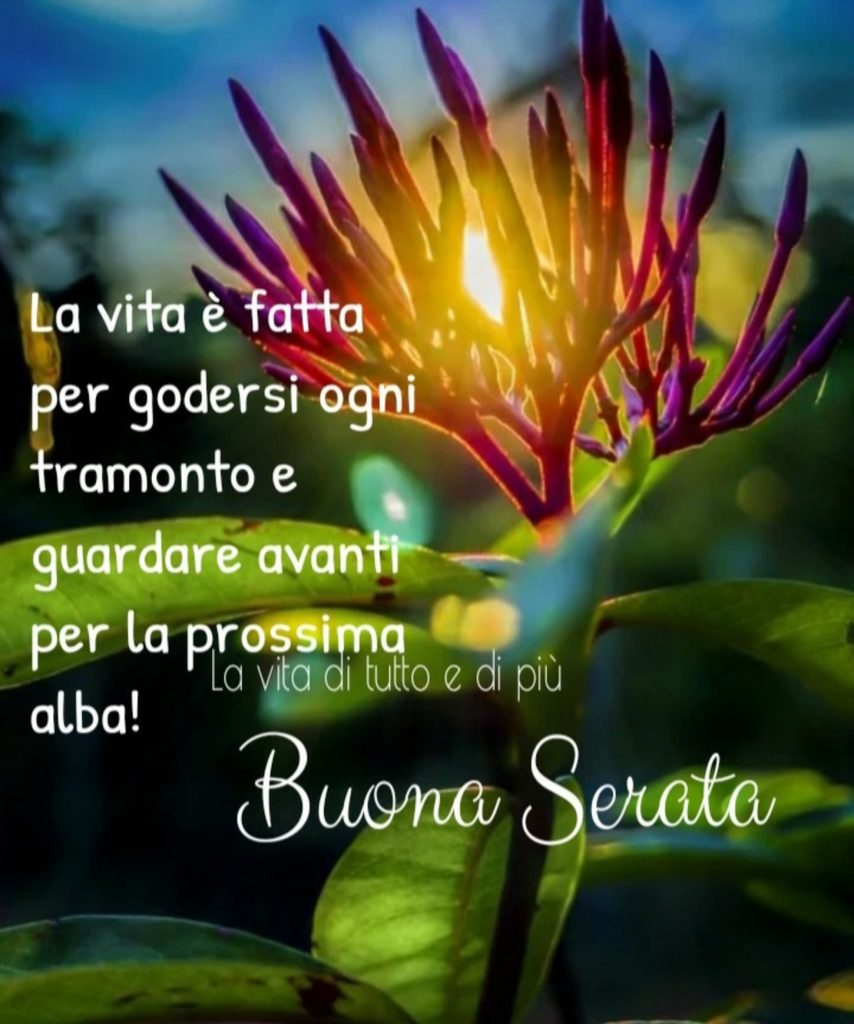 La vita è fatta per godersi ogni tramonto e guardare avanti per la prossima alba! Buona Serata