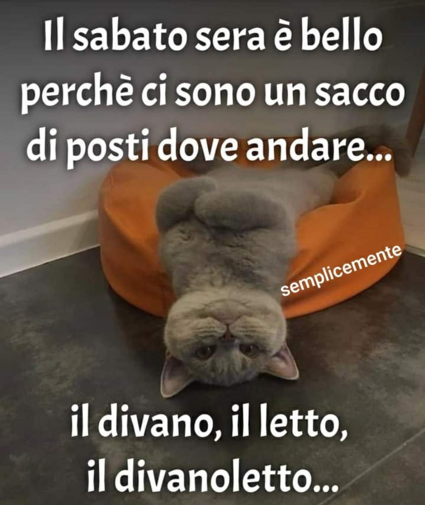 Il sabato sera è bello perché ci sono un sacco di posti dove andare... il divano, il letto, il divanoletto