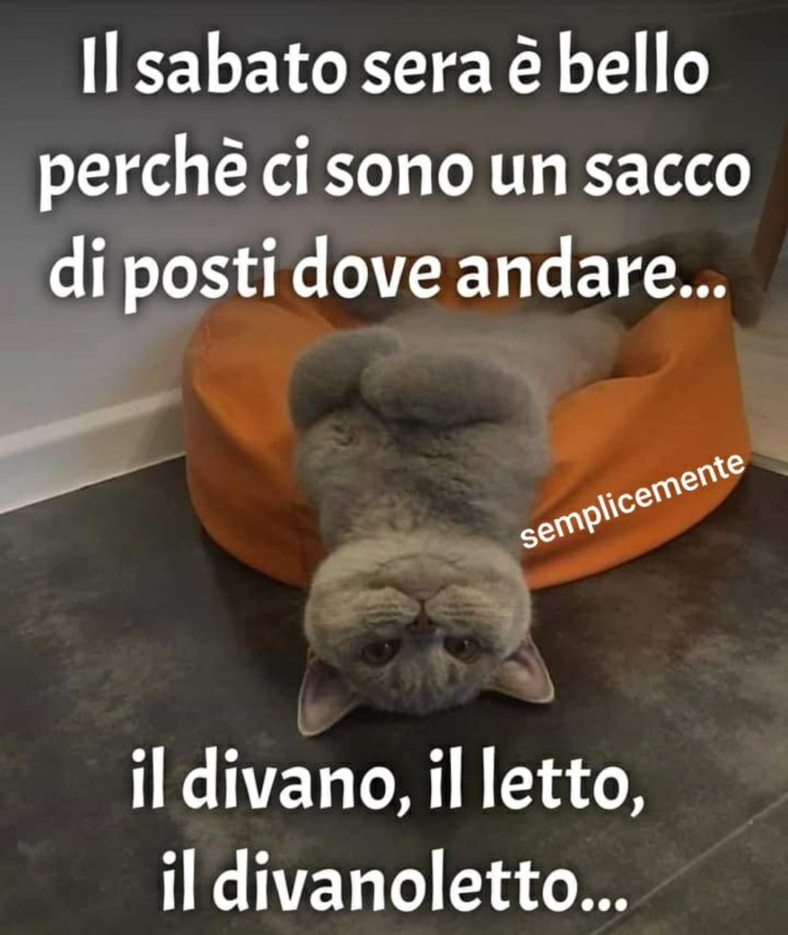 Il sabato sera è bello perché ci sono un sacco di posti dove andare... il divano, il letto, il divanoletto