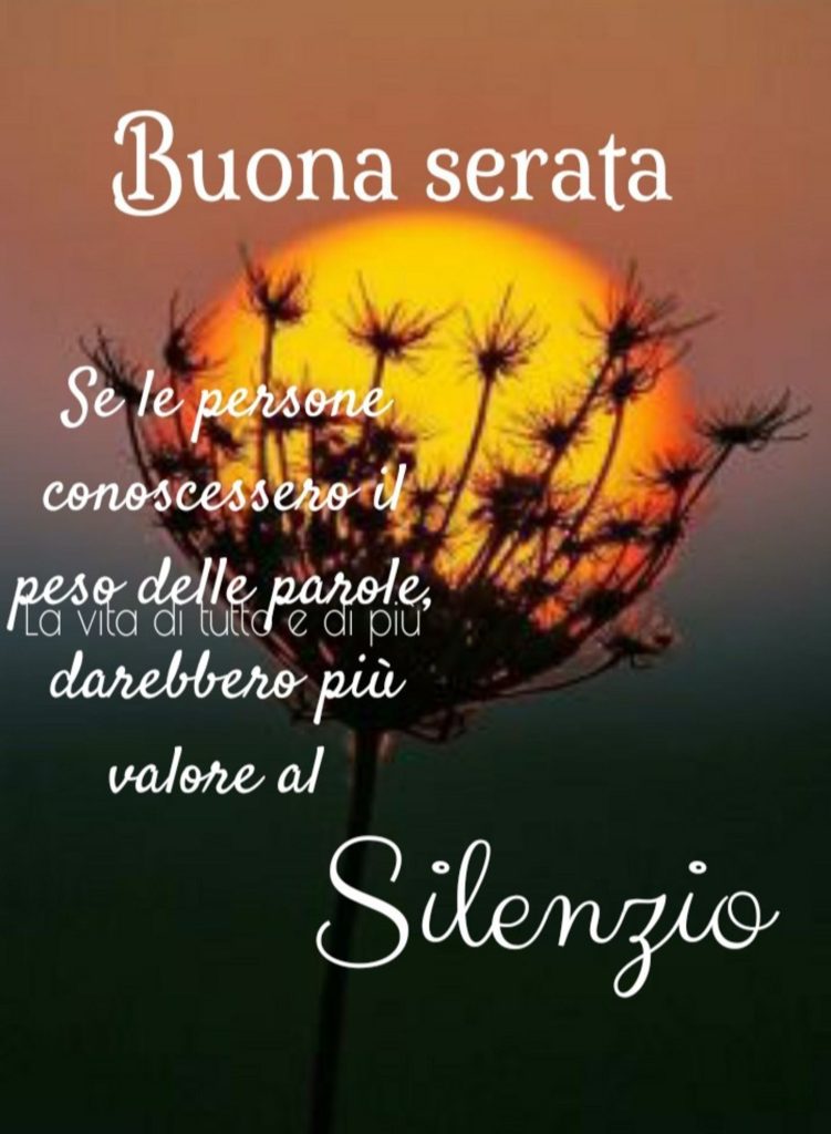 Buona Serata se le persona conoscessero il peso delle parole, darebbero più valore al Silenzio