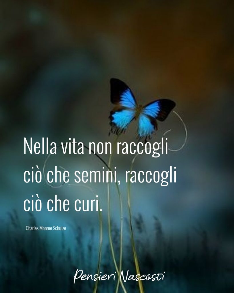 Nella vita non raccogli ciò che semini, raccogli ciò che curi