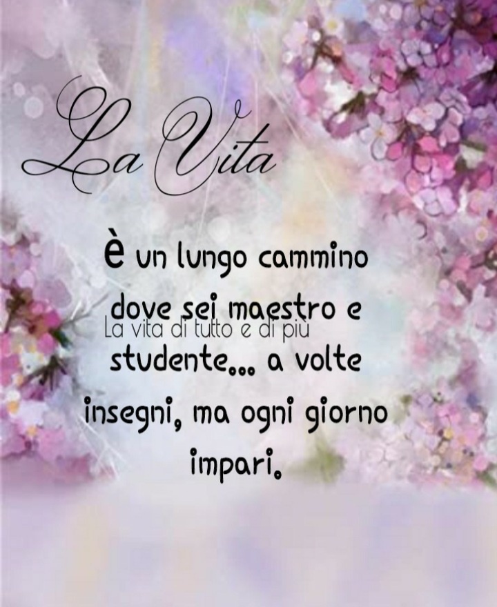 La vita è un lungo cammino dove sei maestro e studente... a volte insegni, ma ogni giorno impari