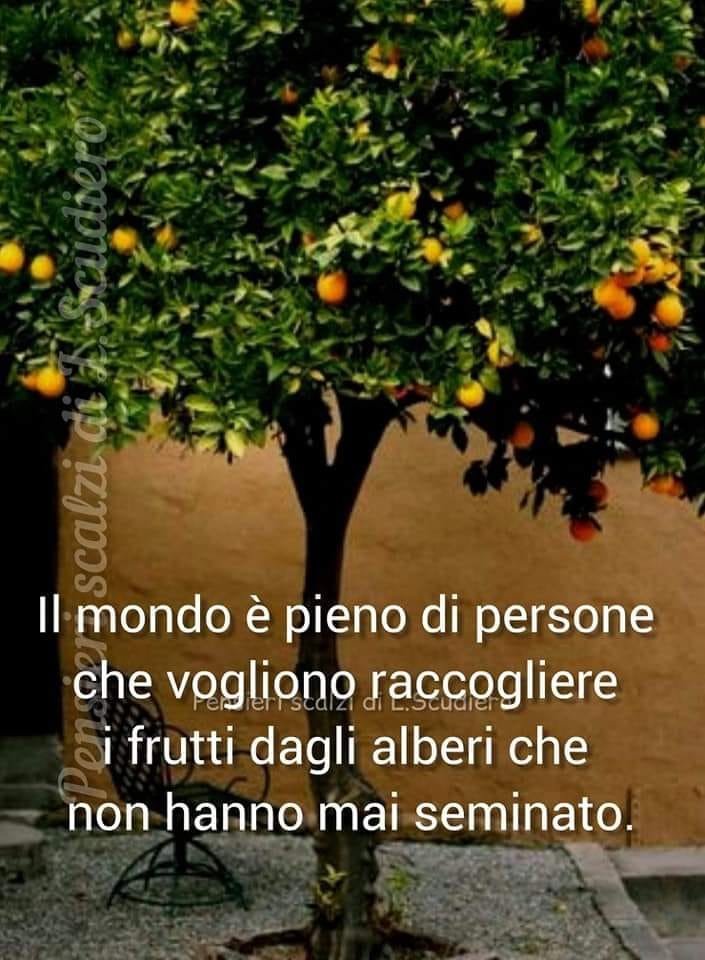 Il mondo è pieno di persone che vogliono raccogliere i frutti dagli alberi che non hanno mai seminato