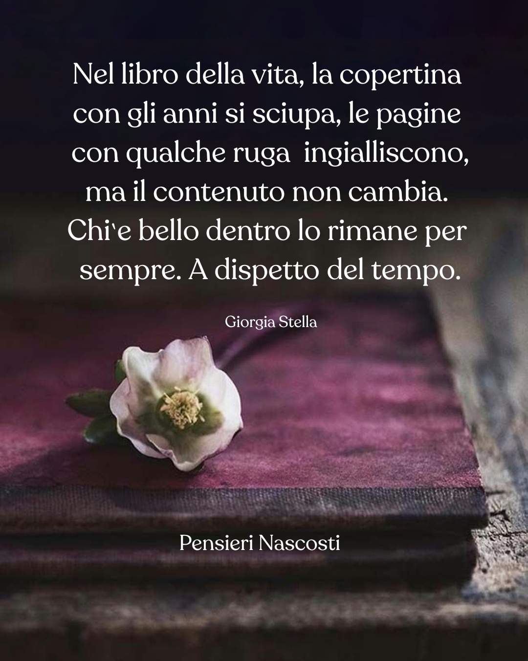 32+ Frasi sulla vita - ImmagineDelGiorno.it