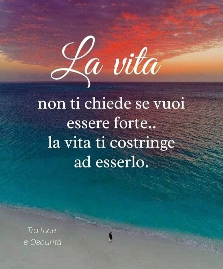 La vita non ti chiede se vuoi essere forte.. la vita ti costringe ad esserlo