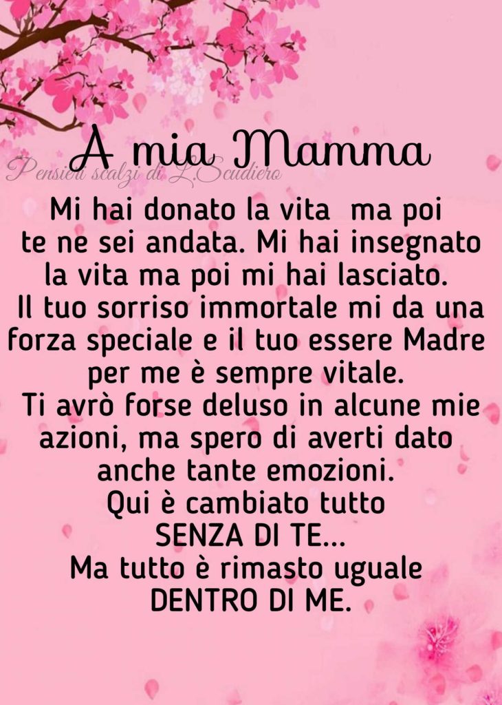 A mia mamma...