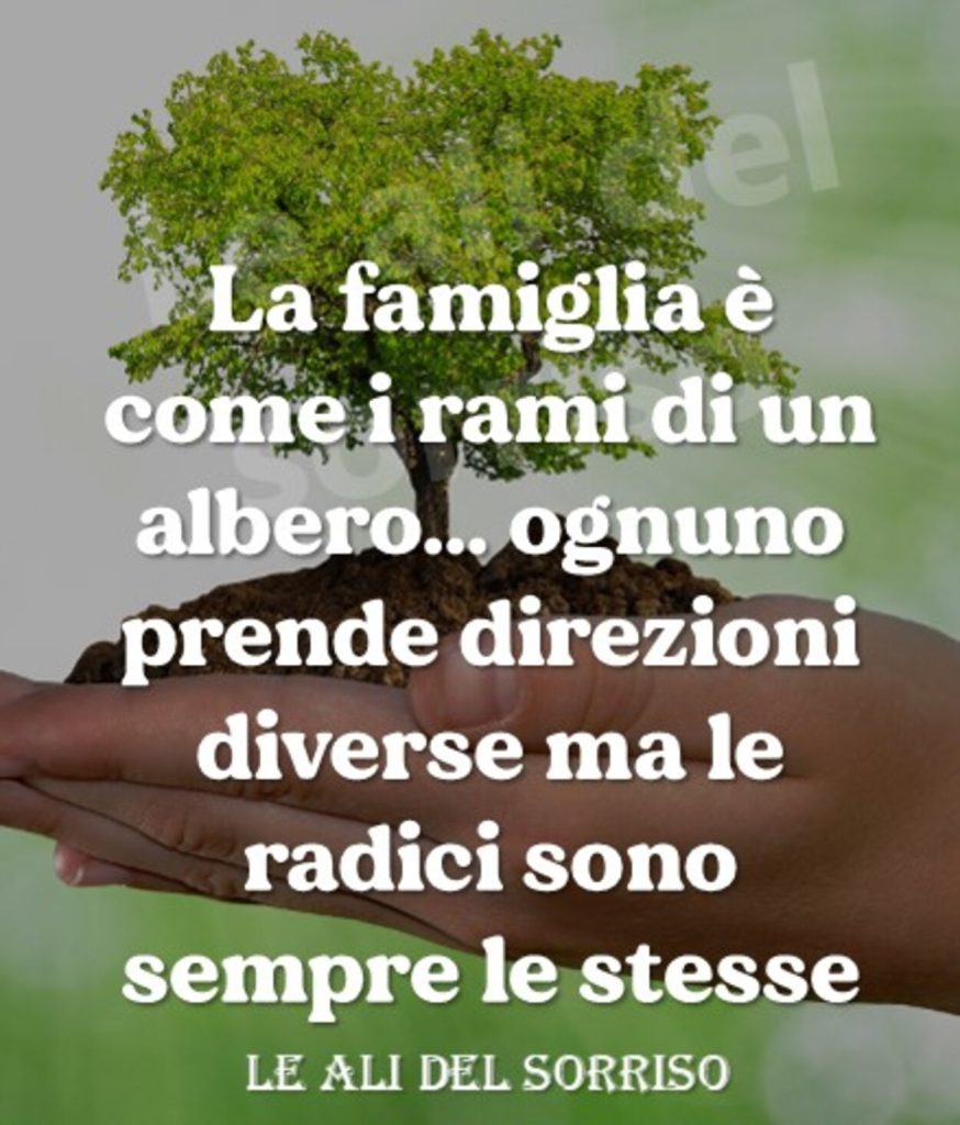 La famiglia è come i rami di un albero...ognuno prende direzioni diverse ma le radici sono sempre le stesse