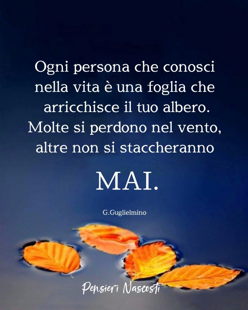 Ogni persona che conosci nella vita è una foglia che arricchisce il tuo albero. Molte si perdono nel vento, altre non si staccheranno MAI