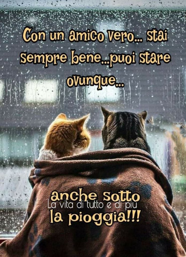 Con un amico vero... stai sempre bene...puoi stare ovunque.. anche sotto la pioggia