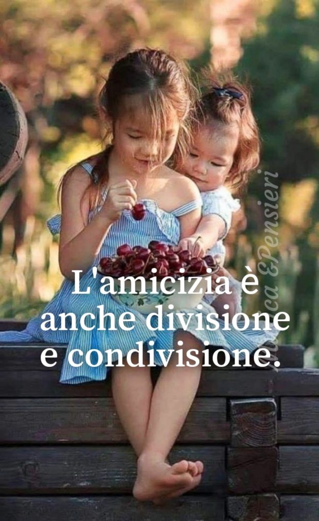 L'amicizia è anche divisione e condivisione