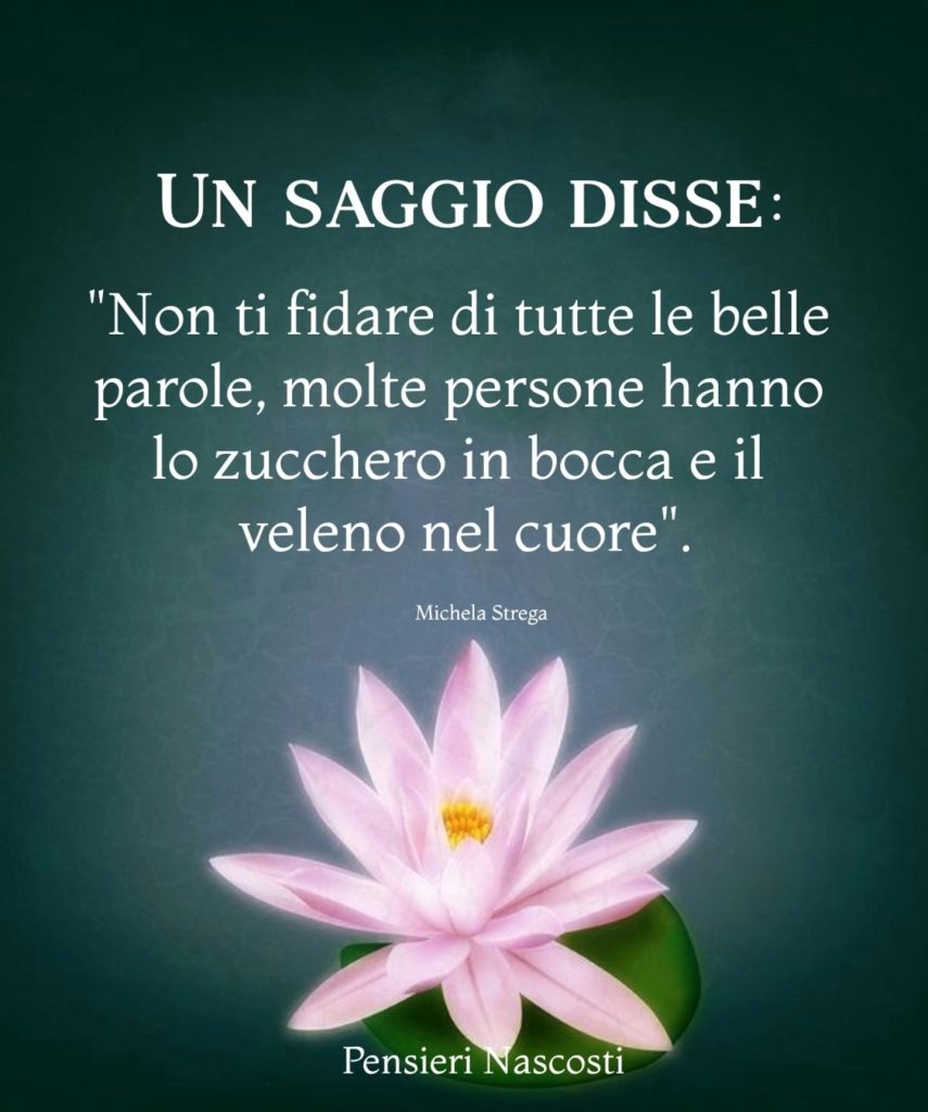 Un saggio disse:"Non ti fidare di tutte le belle parole, molte persone hanno lo zucchero in bocca e il veleno nel cuore"