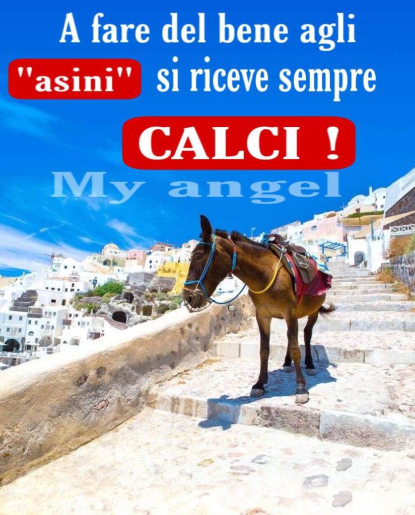 A fare del bene agli "asini" si riceve sempre CALCI!