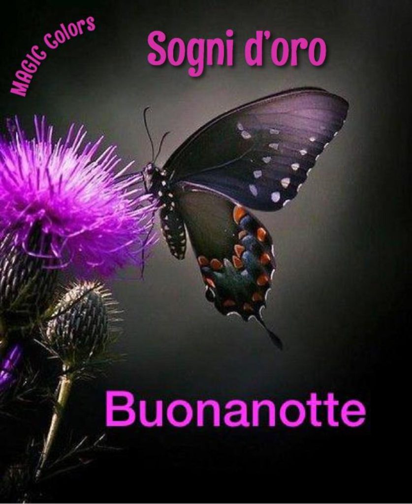 Sogni d'oro Buonanotte