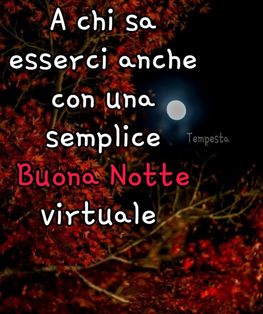 A chi sa esserci anche una semplice Buona Notte virtuale
