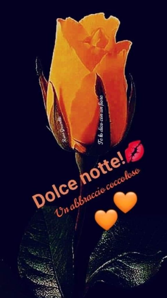 Dolce Notte!