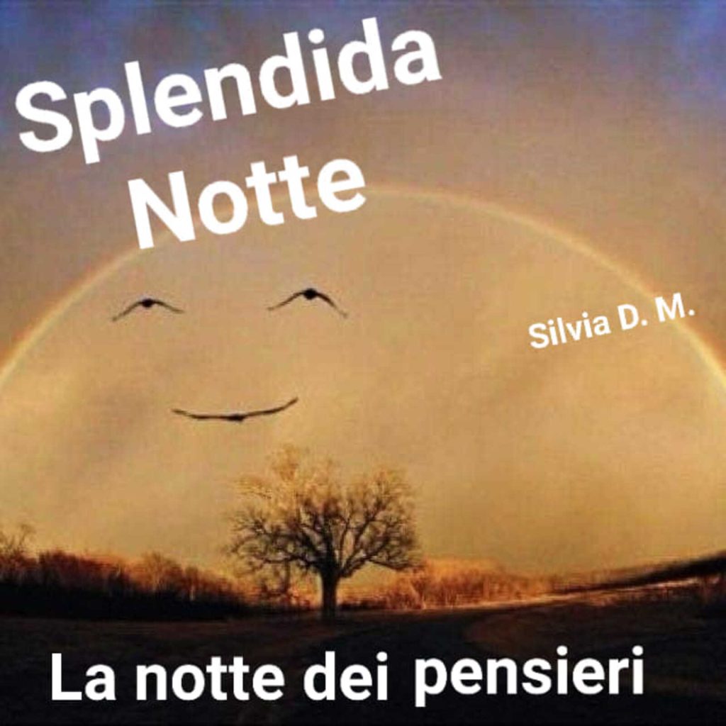 Splendida notte