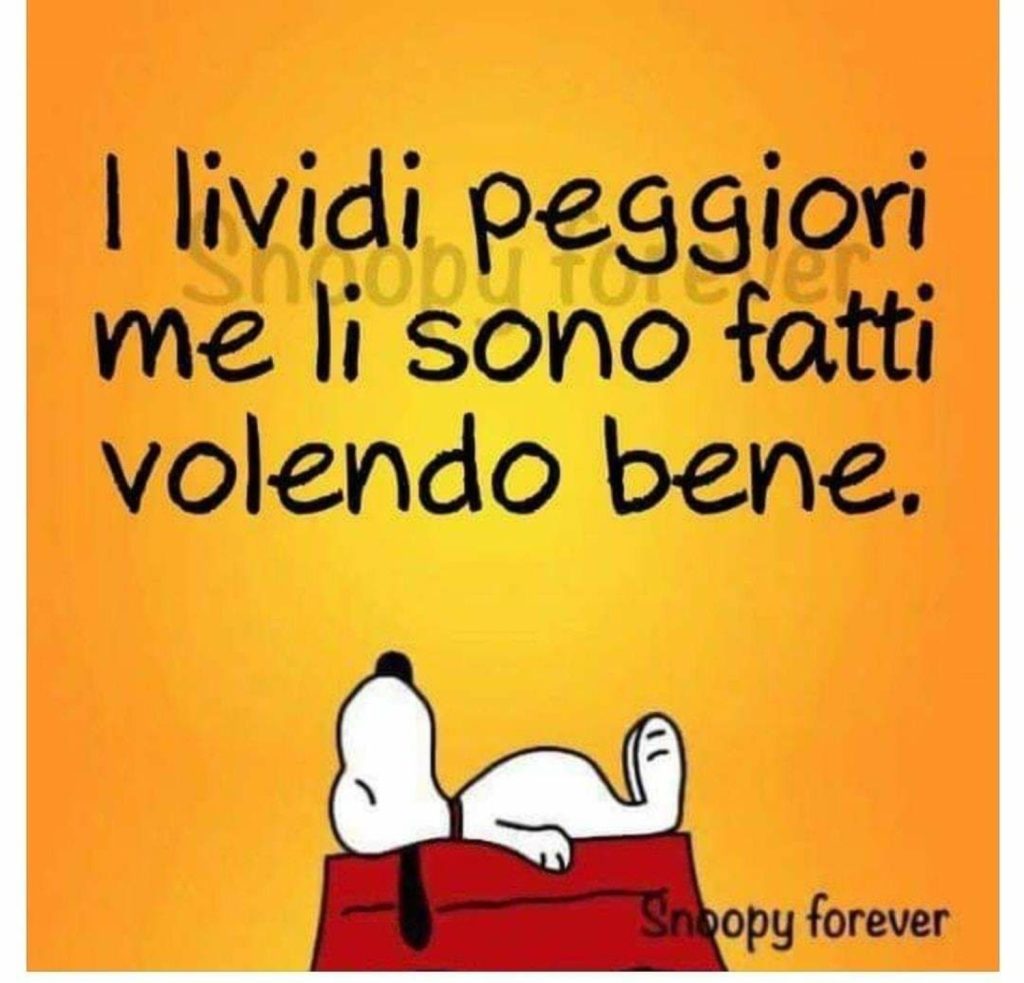 I lividi peggiori me li sono fatti volendo bene